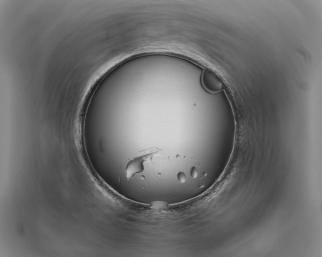 X0000112371517200908271307