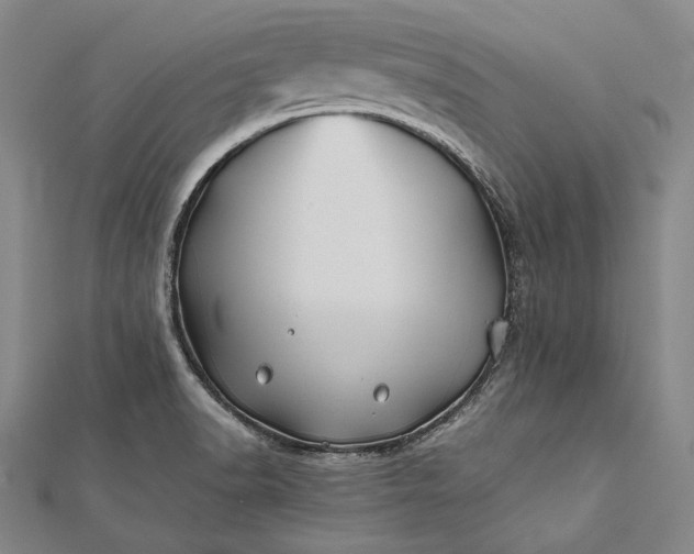 X0000112371518200908271307