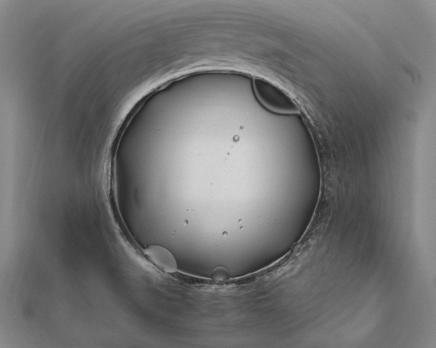 X0000112371519200908271307