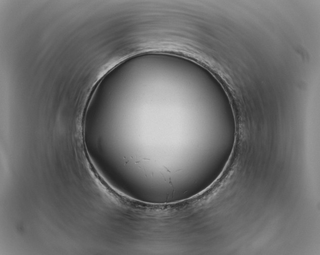 X0000112371521200908271307