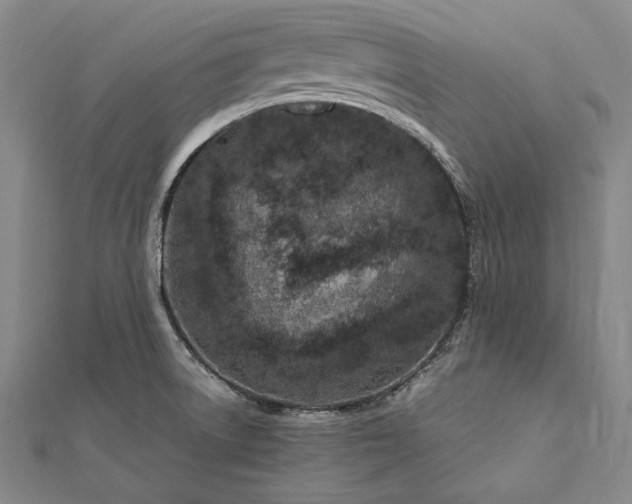 X0000112371522200908271307