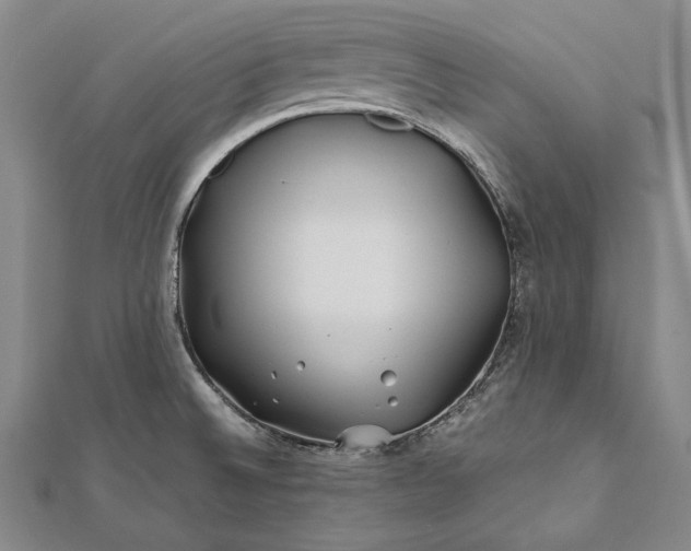 X0000112371524200908271307