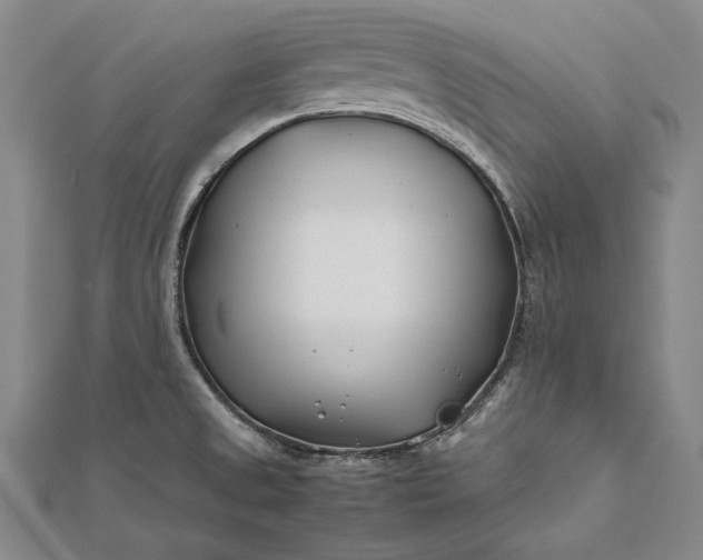 X0000112371525200908271307