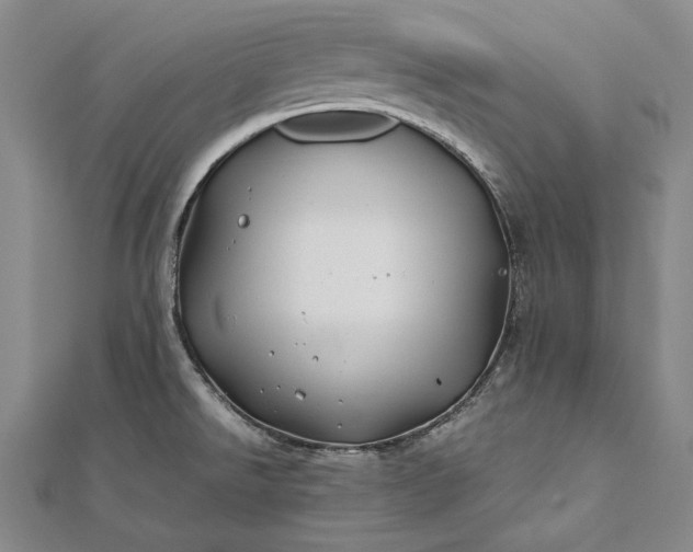 X0000112371526200908271307