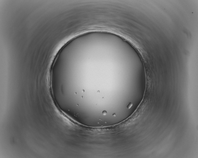 X0000112371527200908271307