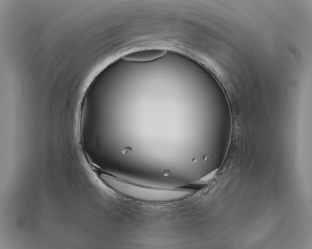 X0000112371528200908271307