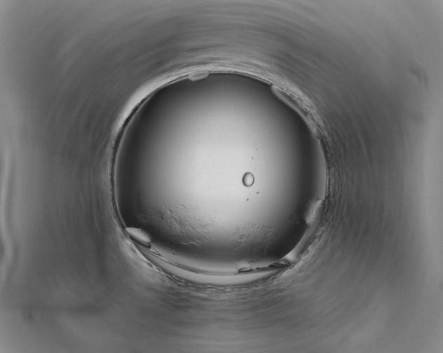 X0000112371530200908271307