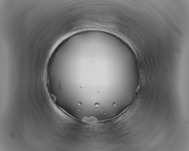 X0000112371531200908271307