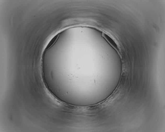 X0000112371532200908271307