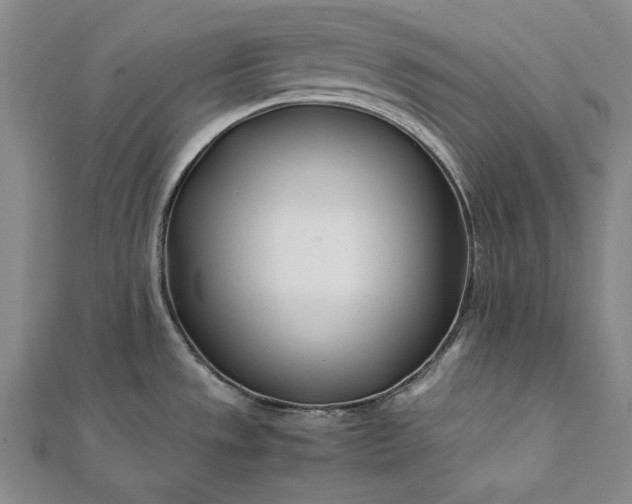 X0000112371533200908271307