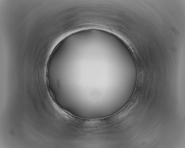 X0000112371535200908271307