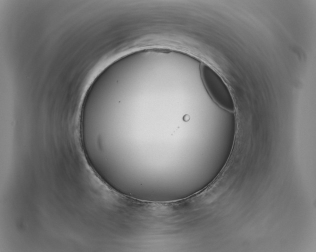 X0000112371536200908271307