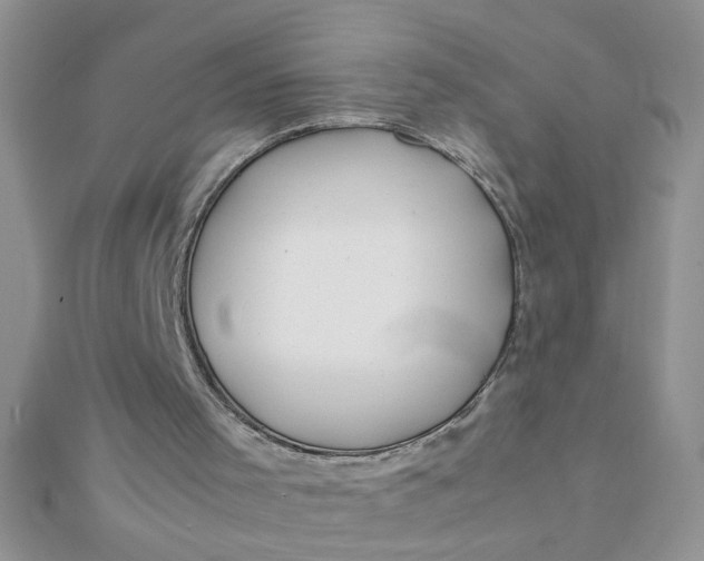 X0000112370001200909031941