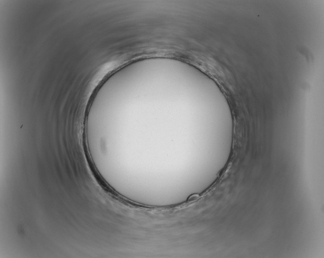 X0000112370003200909031941
