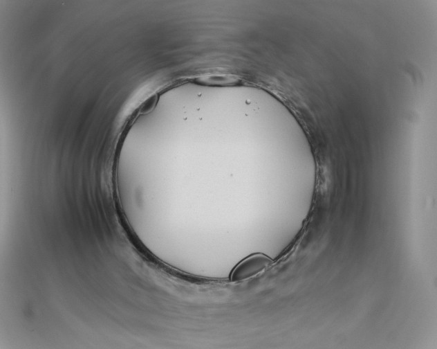 X0000112370004200909031941