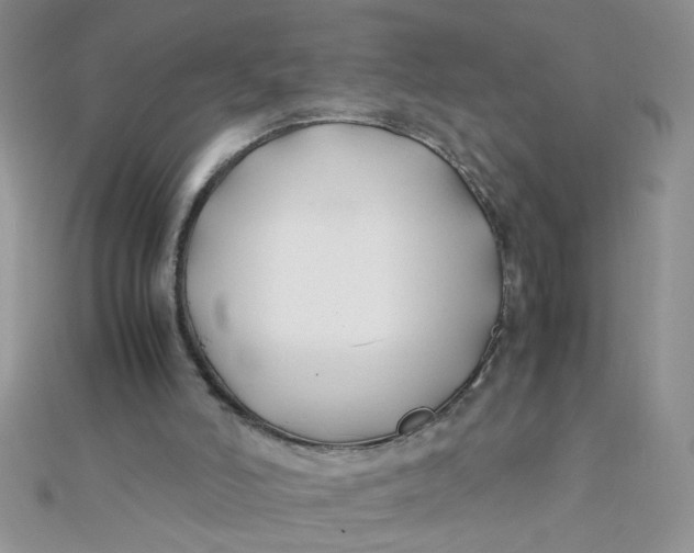 X0000112370006200909031940