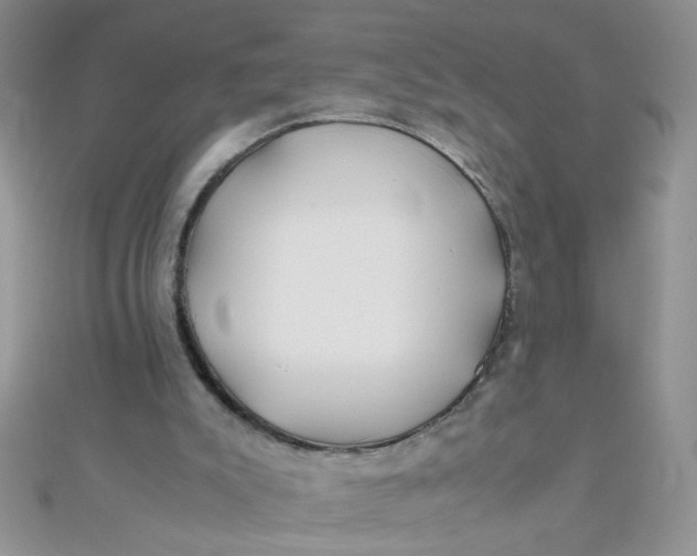 X0000112370007200909031940