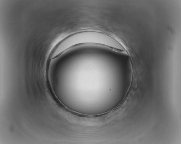 X0000112370008200909031940