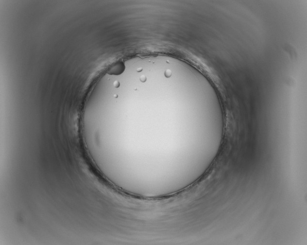 X0000112370010200909031940