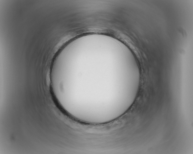X0000112370011200909031940
