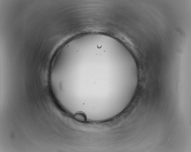 X0000112370012200909031940