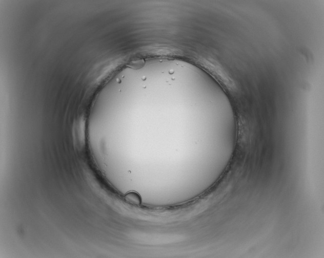 X0000112370014200909031940