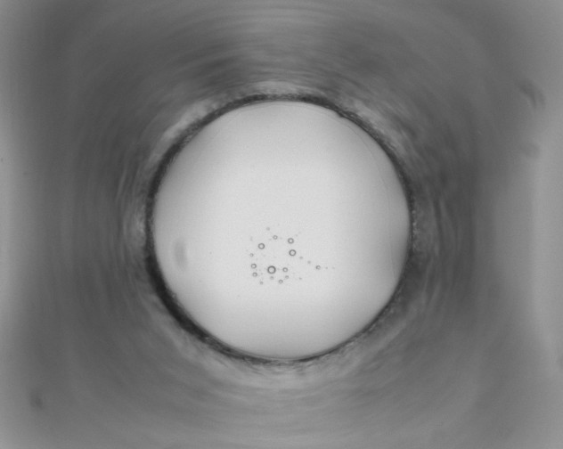 X0000112370015200909031940