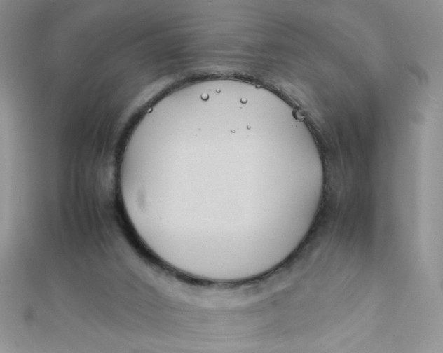 X0000112370016200909031940
