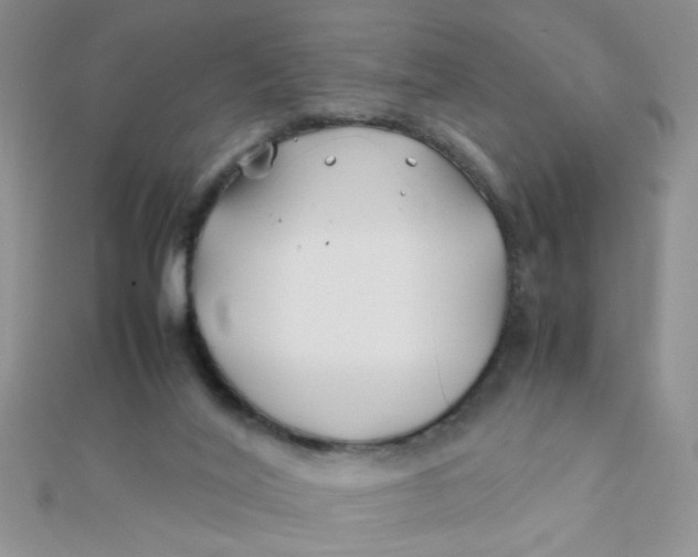 X0000112370020200909031940