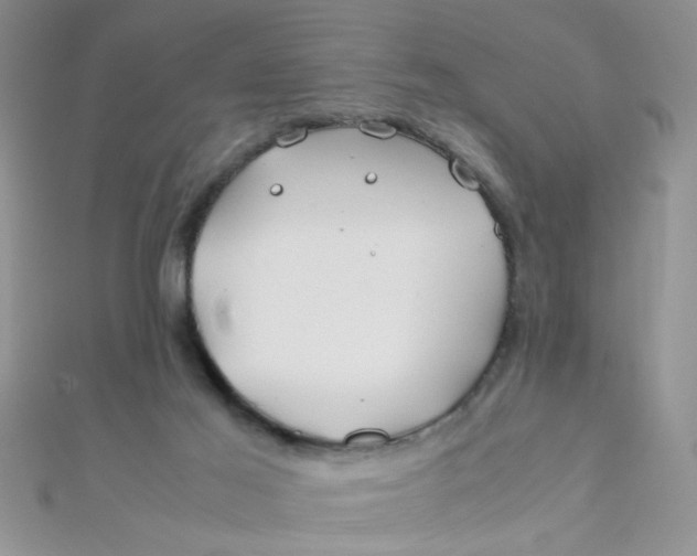 X0000112370021200909031940