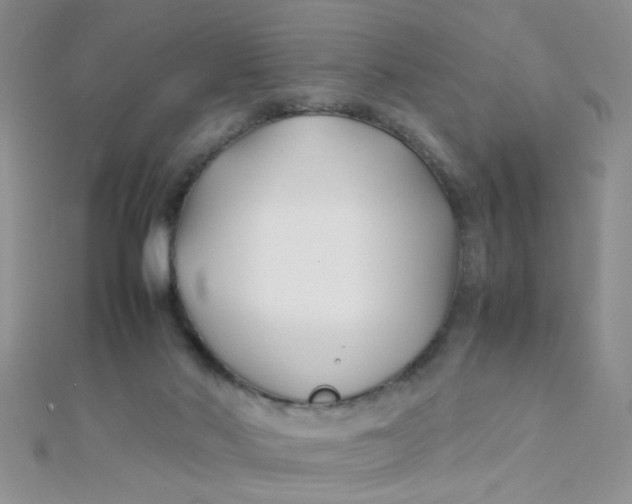X0000112370022200909031940