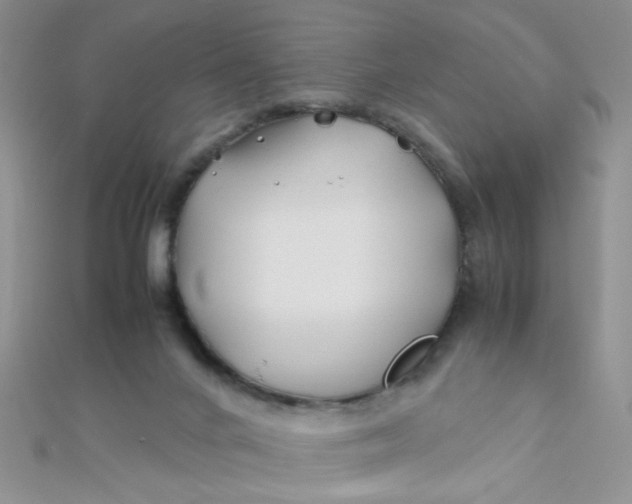 X0000112370024200909031940