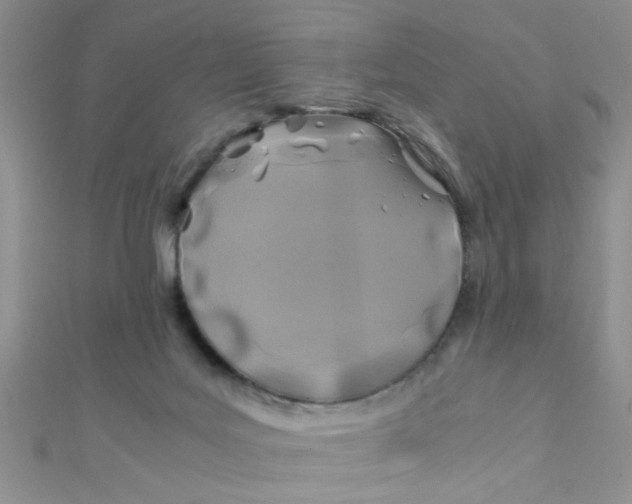 X0000112370027200909031940