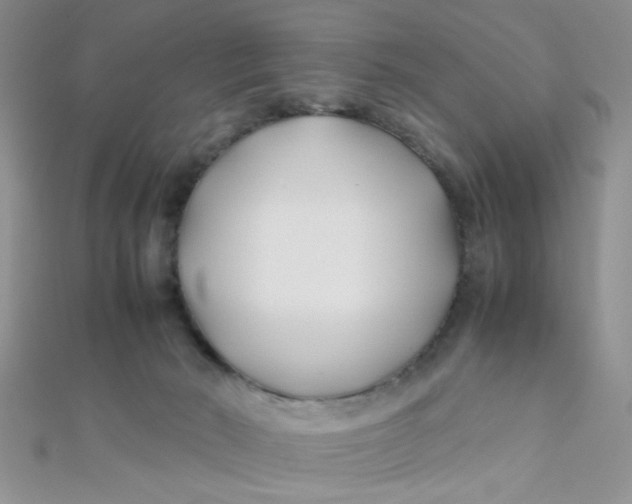X0000112370030200909031940
