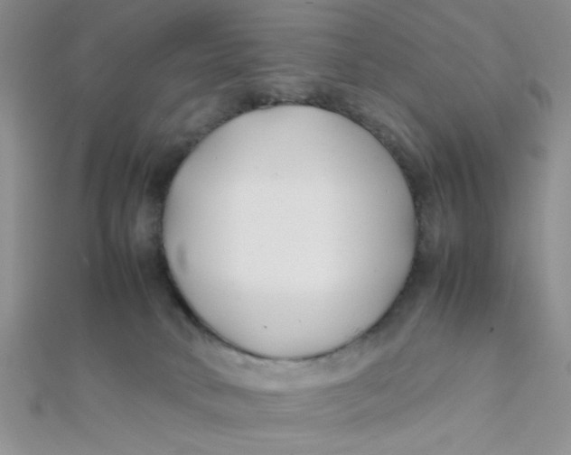 X0000112370034200909031940