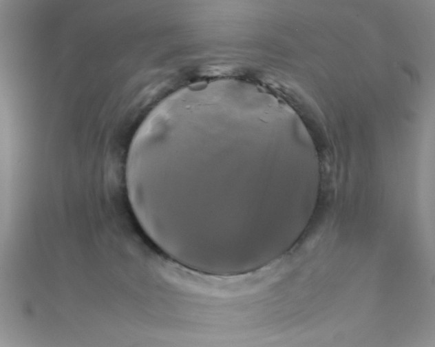 X0000112370035200909031940
