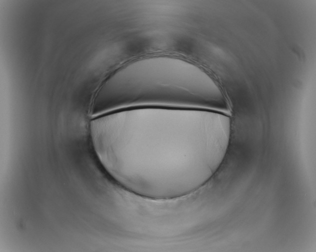 X0000112370039200909031940