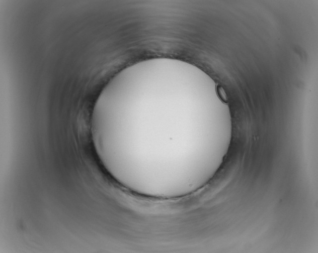 X0000112370040200909031940