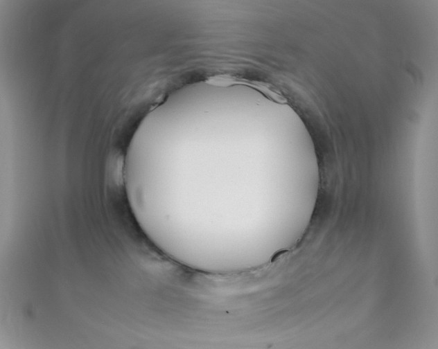 X0000112370041200909031940