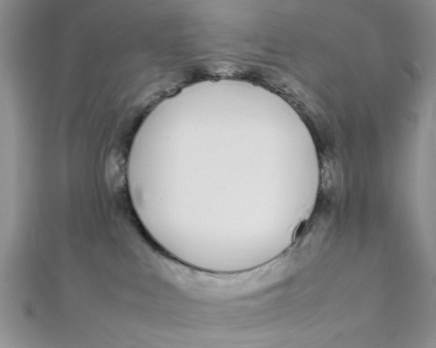 X0000112370043200909031940