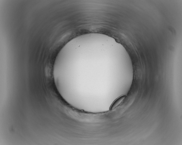 X0000112370044200909031940