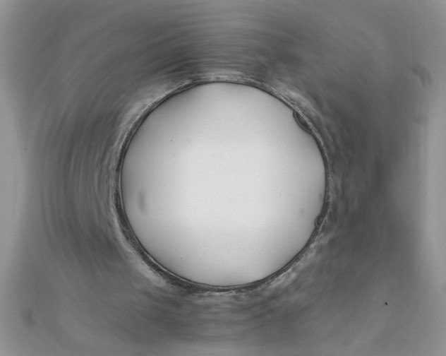 X0000112370049200909031939