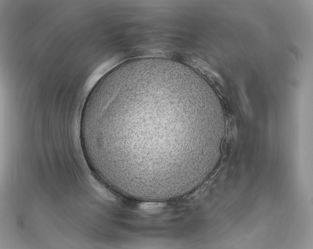 X0000112370051200909031939