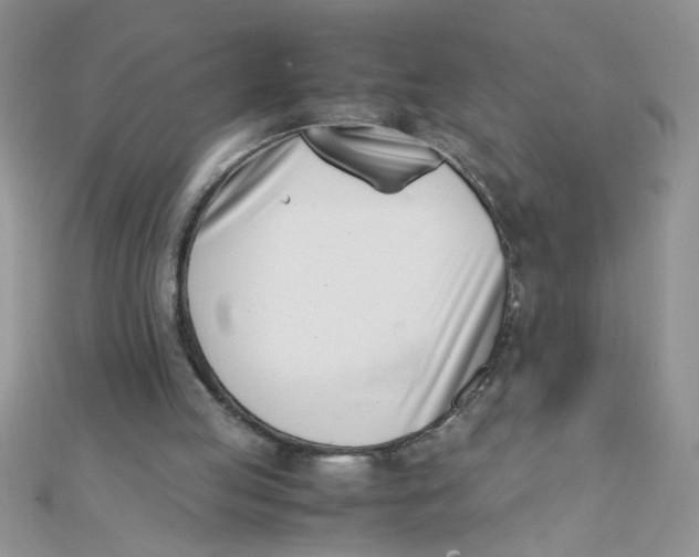X0000112370053200909031939
