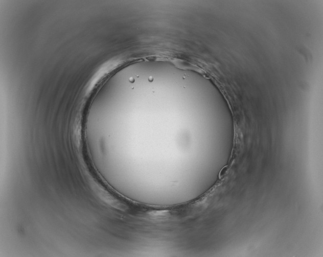 X0000112370054200909031939