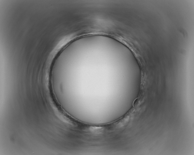 X0000112370055200909031939