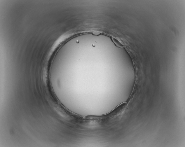 X0000112370056200909031939