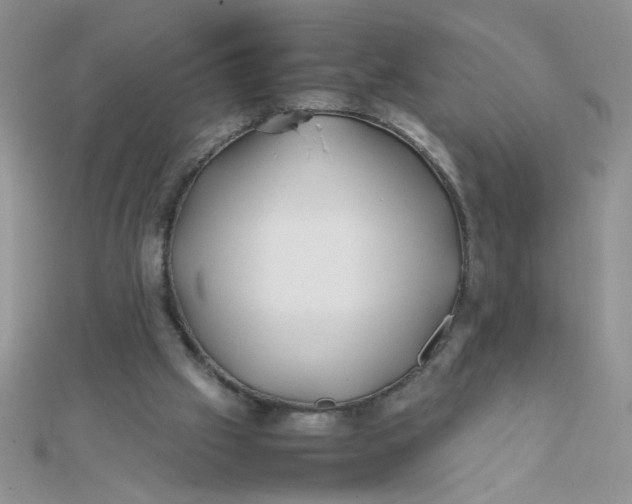 X0000112370057200909031939