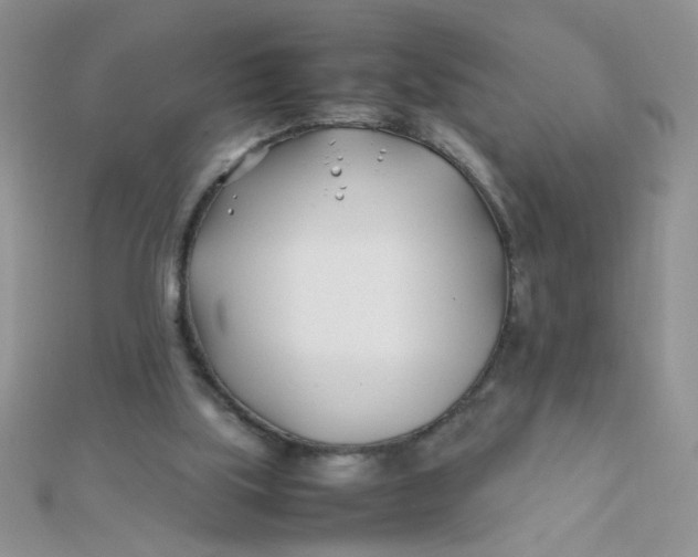 X0000112370059200909031939