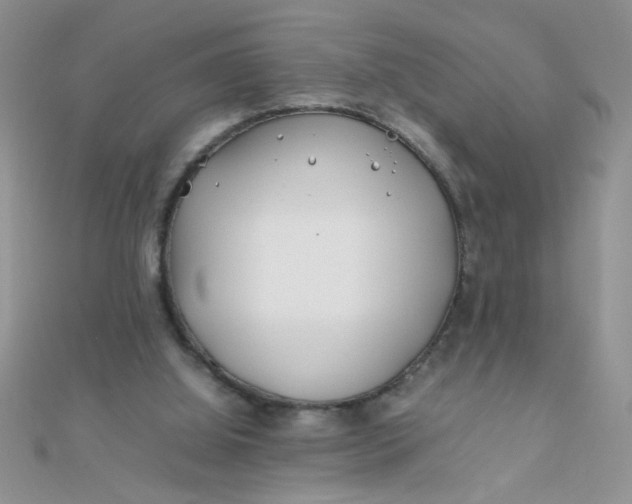 X0000112370060200909031939